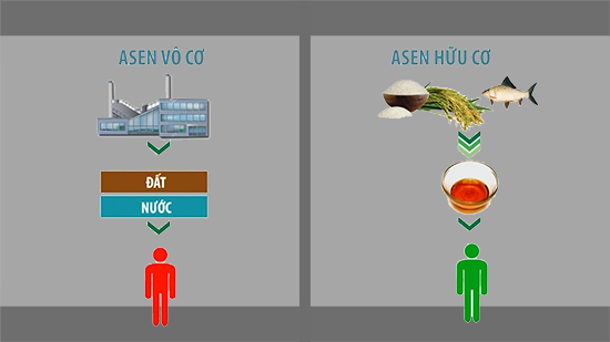 Hai loại Asen c&oacute; trong tự nhi&ecirc;n