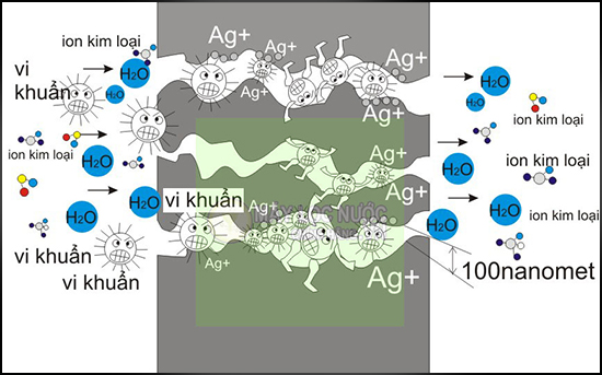 C&aacute;c tạp chất, vi khuẩn,... bị chặn lại ở m&agrave;ng lọc