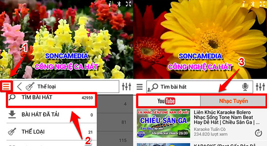 h&aacute;t karaoke khi c&oacute; mạng
