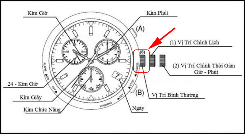 Cách chỉnh đồng hồ Citizen Eco - Drive hữu ích có thể bạn chưa biết