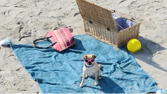 Ảnh được zoom r&otilde; n&eacute;t, mượt m&agrave;