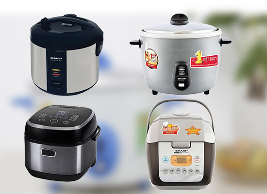 đa dạng mẫu m&atilde;