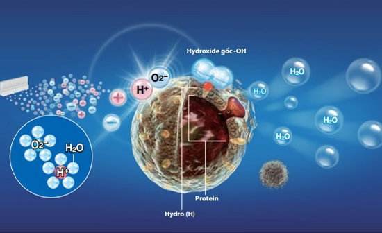 Công nghệ khử mùi Plasmacluster ion 