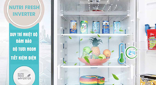 Tủ lạnh Electrolux của nước nào? Có tốt và nên mua không?