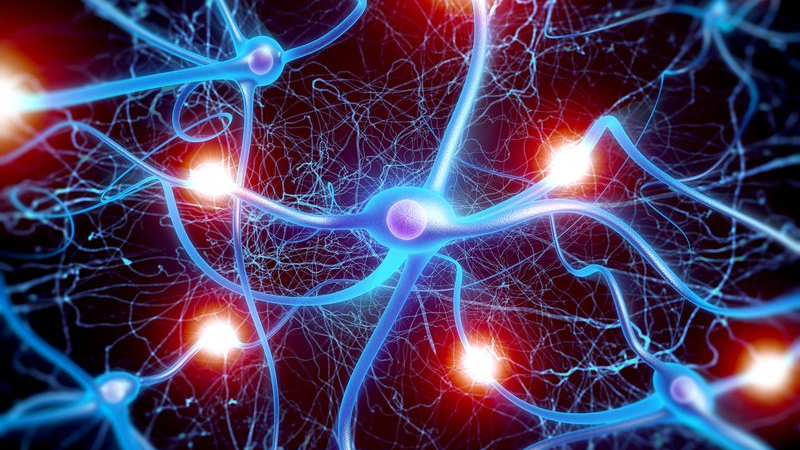 Ion âm có thể tăng cường quá trình dưỡng hóa của não bộ, hệ thần kinh