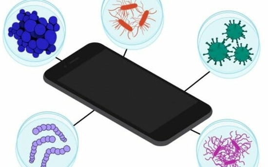 Vi khuẩn bám trên điện cao nhiều
