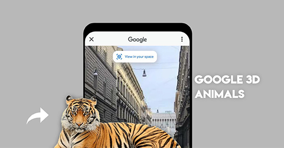 Không thể dùng Google 3D Animals: Nguyên nhân và cách khắc phục -  