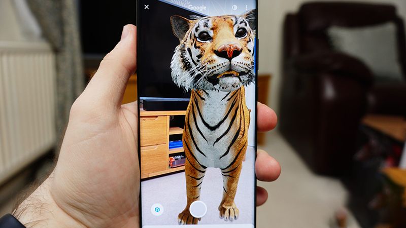Không thể dùng Google 3D Animals: Nguyên nhân và cách khắc phục - Không thể dùng Google 3D Animals: Nguyên nhân và cách khắc phục -