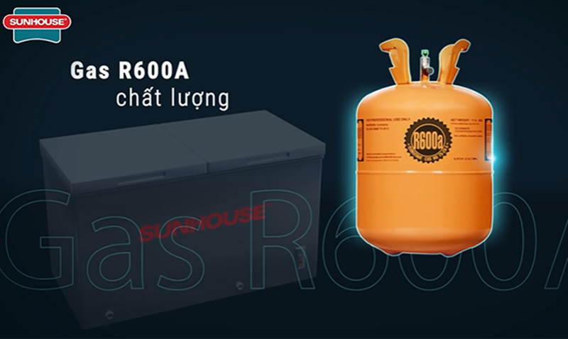 Bảo vệ m&ocirc;i trường