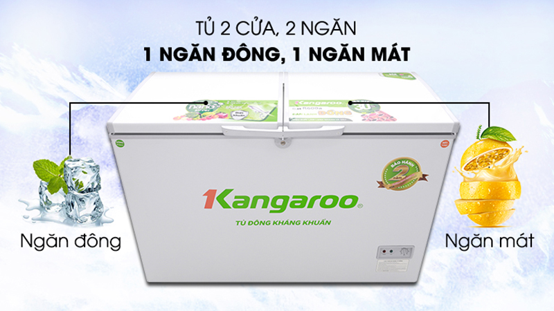 2 ngăn tủ lạnh với mức nhiệt khác nhau