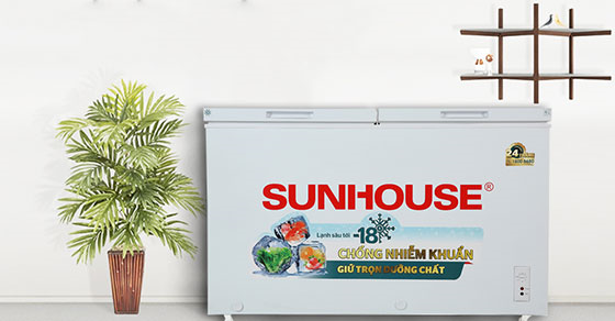 8 tiêu chí bạn nên biết khi chọn mua tủ đông phù hợp hiện nay