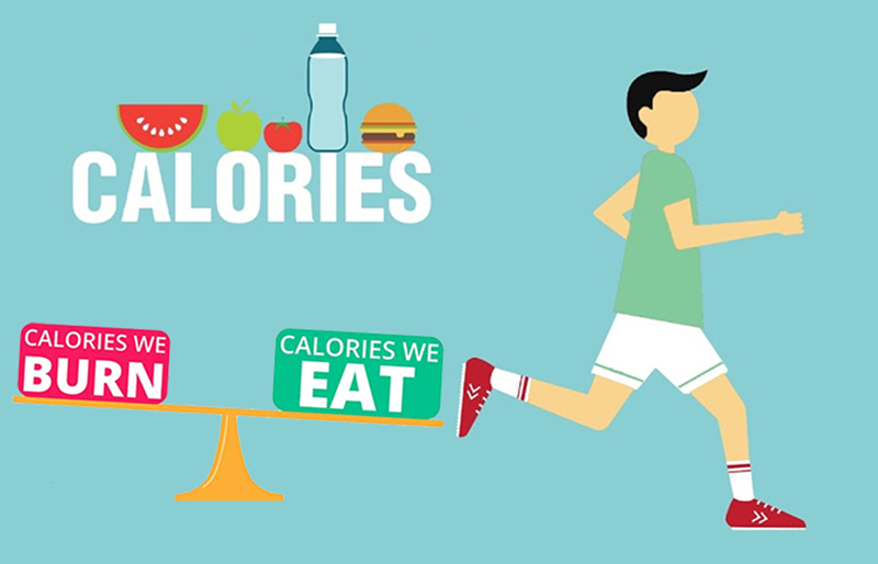 Mỗi ngày con người nạp vào cơ thể một lượng calories nhất định