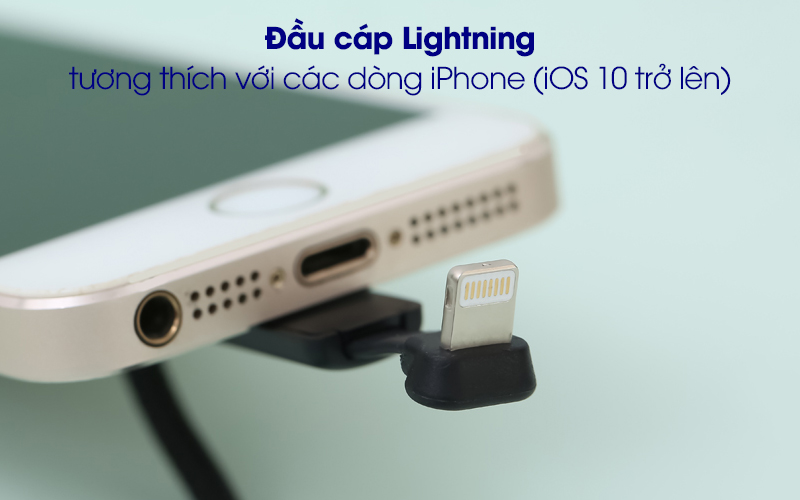 Đầu cáp Lightning