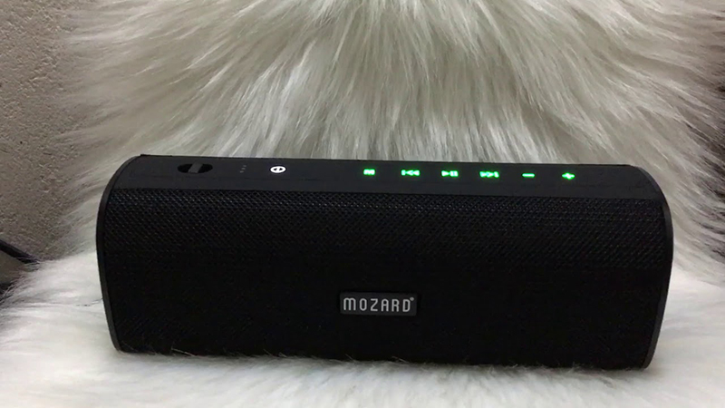 Giá thị trường của các loa Mozard khá phù hợp với túi tiền