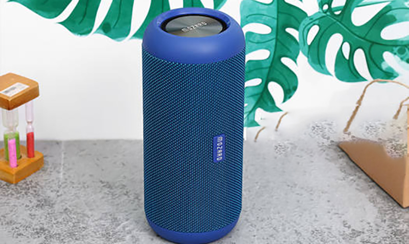 Loa còn trang bị một số model còn có khả năng chống nước chuẩn IPX6