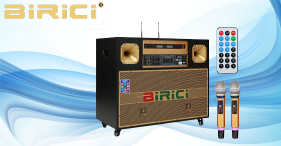 Loa Birici của nước nào? Có tốt không? Có điểm gì nổi bật?