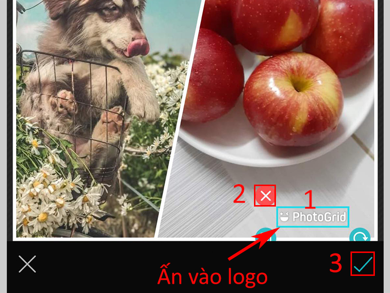 Cách ghép ảnh trên iPhone bằng PhotoGrid: FREE, không có logo app ...