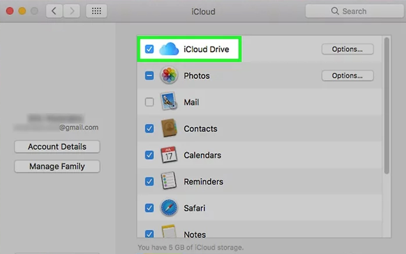 Đánh dấu vào ô iCloud Drive