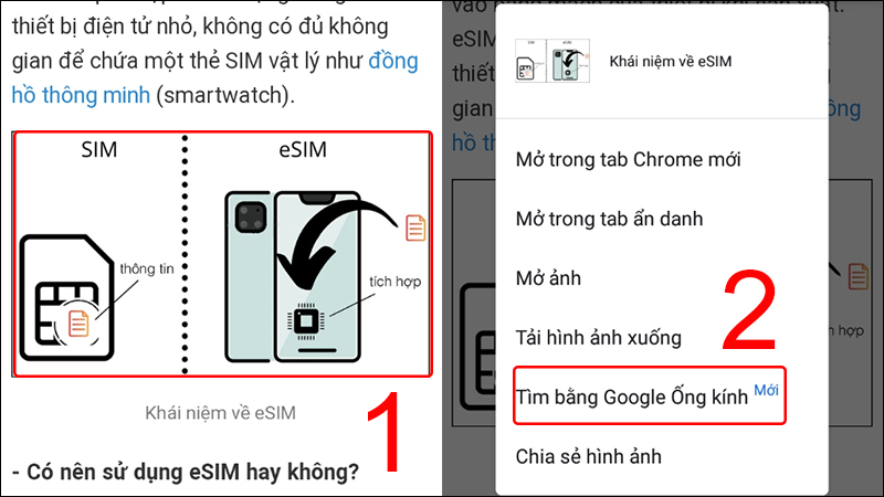 Nhấn đè vào hình ảnh và chọn Tìm kiếm bằng Google ống kính