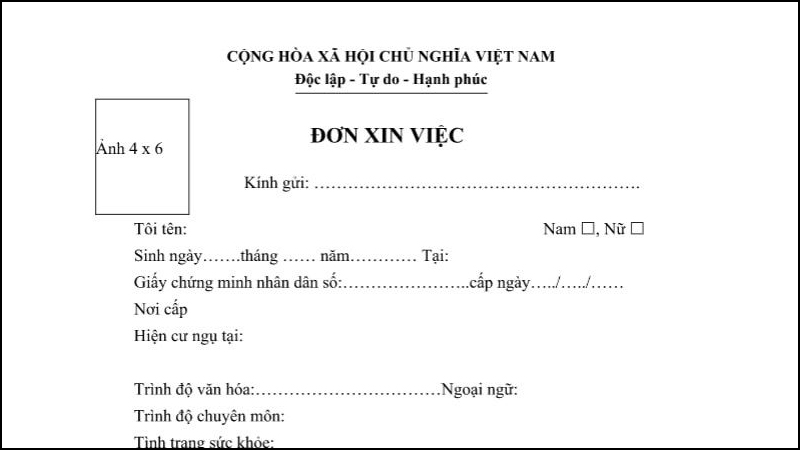 Bố cục phần mở đầu đơn xin việc