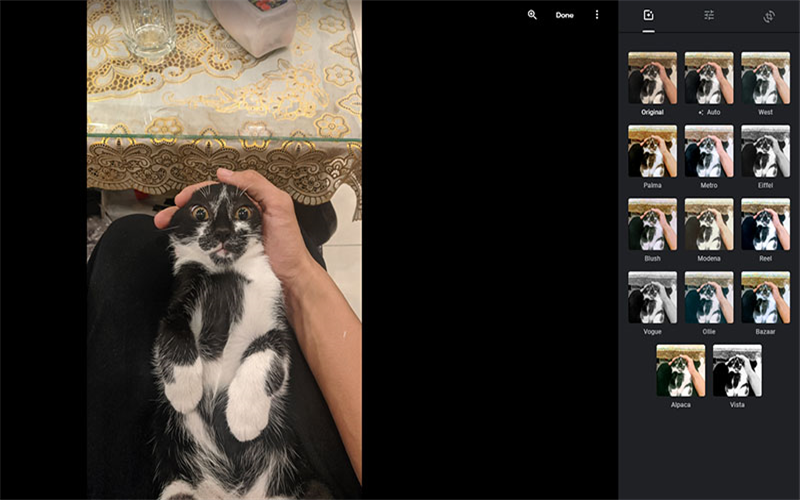 Google Photos