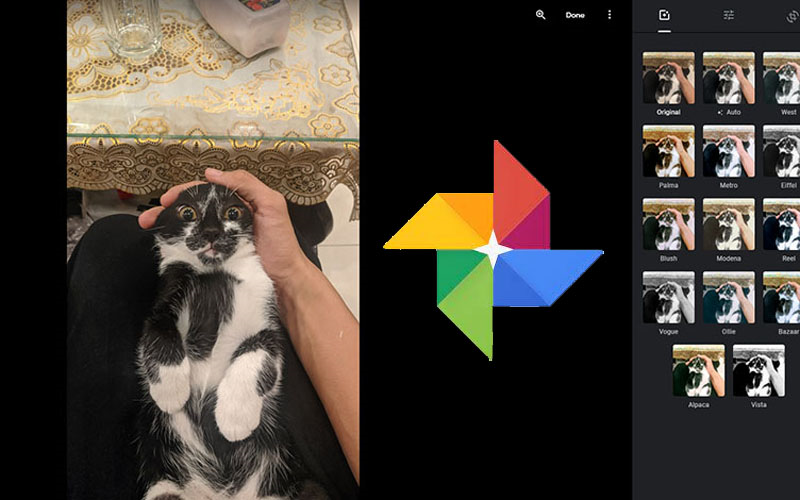 Cắt ảnh với Google Photos