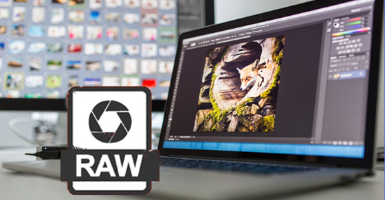 File RAW là gì? Cách mở và chuyển đổi file RAW sang JPEG, JPG, PNG