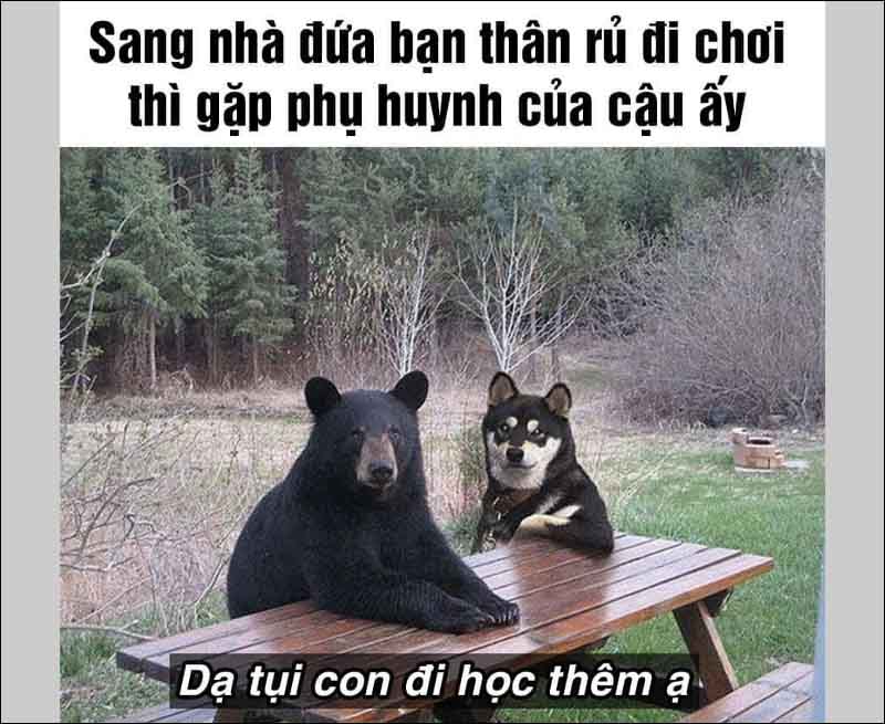 Giả trân