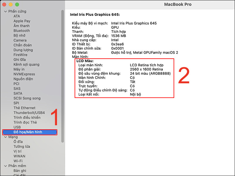 Vào Đồ họa/Màn hình để xem thông tin màn hình MacBook