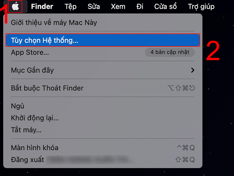 Nhấn vào biểu tượng Apple, chọn Tùy chọn Hệ thống