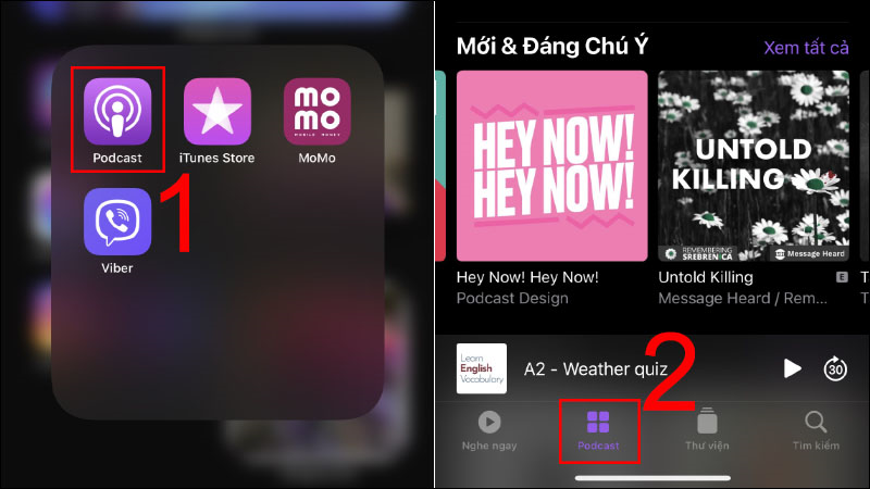 Apple Podcast là gì? Tìm hiểu chi tiết và cách sử dụng