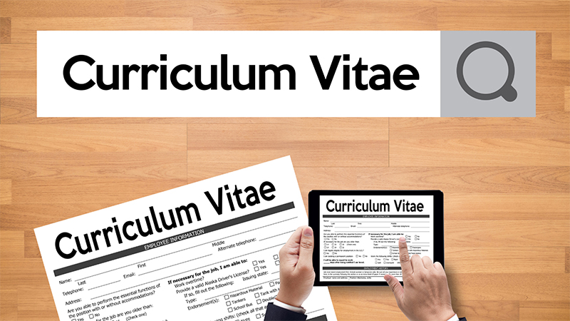 Bạn có thể sử dụng các mẫu CV sẵn có trên các trang web tuyển dụng hoặc tự tạo một mẫu CV độc đáo