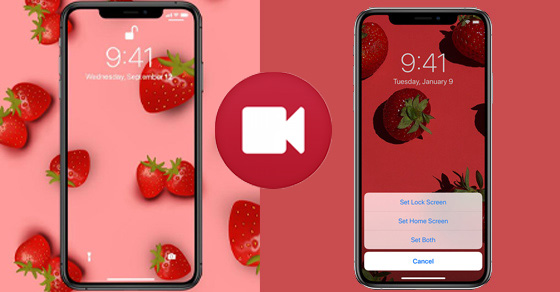 10 mẹo tuyệt vời để dùng video làm hình nền iphone của bạn