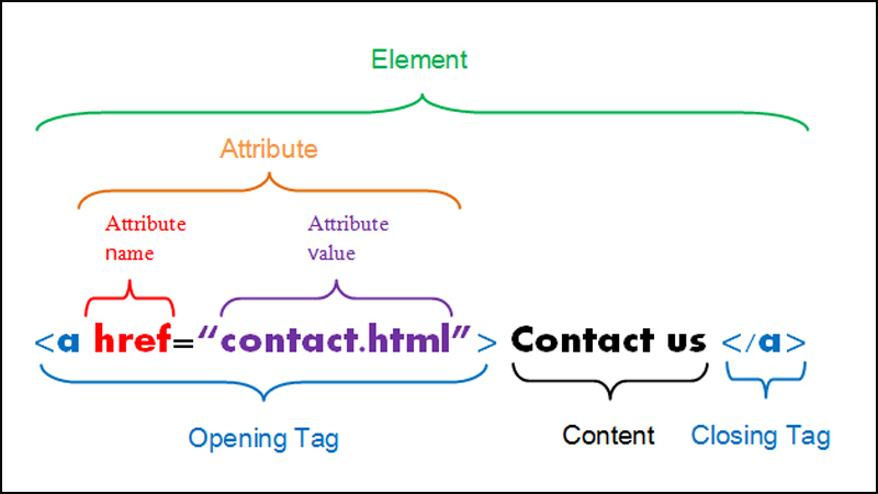 HTML được cấu tạo bởi 3 thành phần chính: Elements, Tags và Attributes.