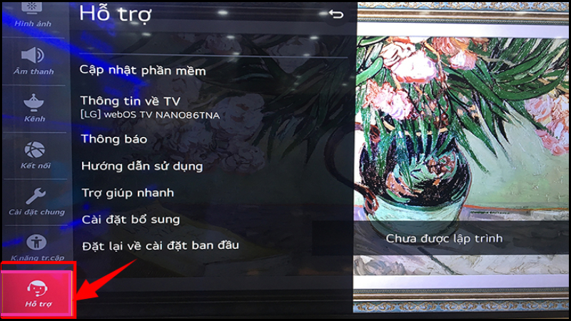 Cách cập nhật phần mềm hệ thống Smart tivi LG