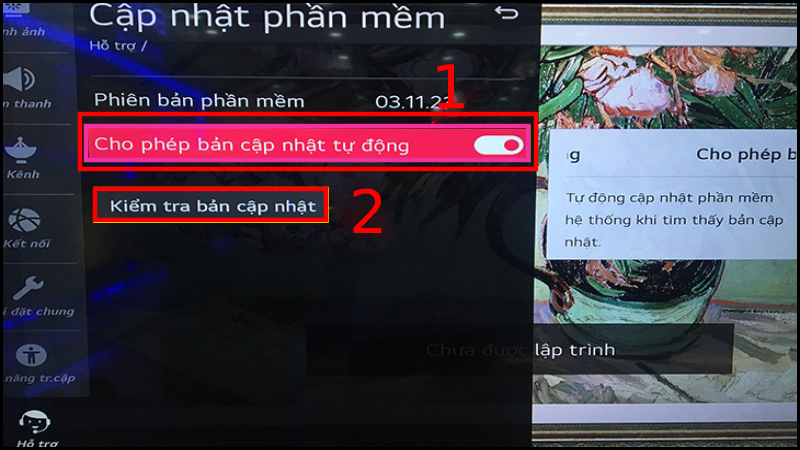 Cách cập nhật phần mềm hệ thống Smart tivi LG