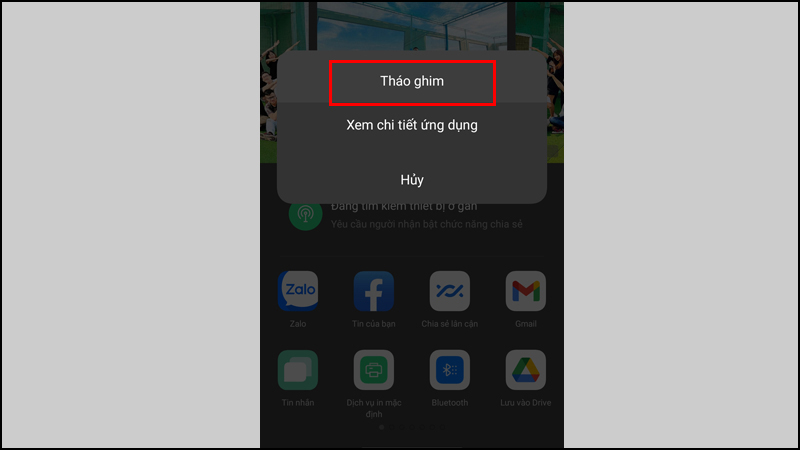 Chọn Th&aacute;o ghim