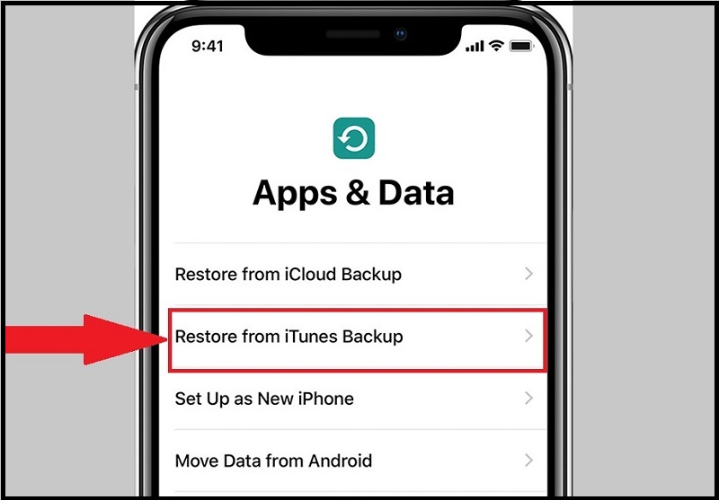 Restore from iTunes Backup