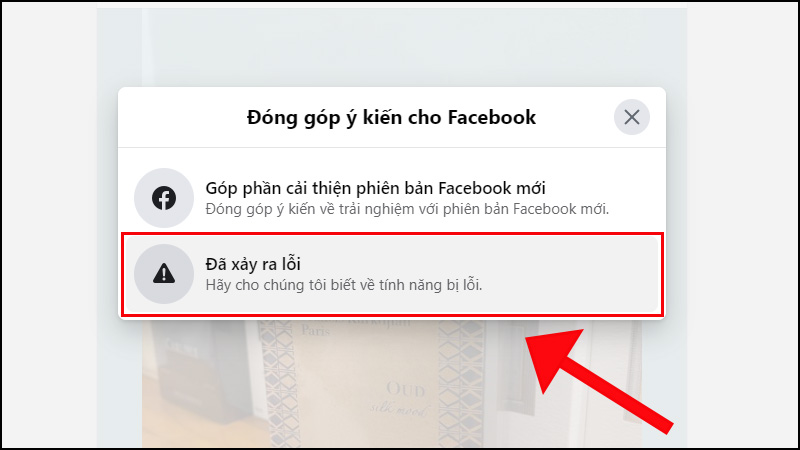 Bạn chọn vào mục đã xảy ra lỗi để có thể báo cáo cho Facebook biết tình trạng gặp phải của mình.