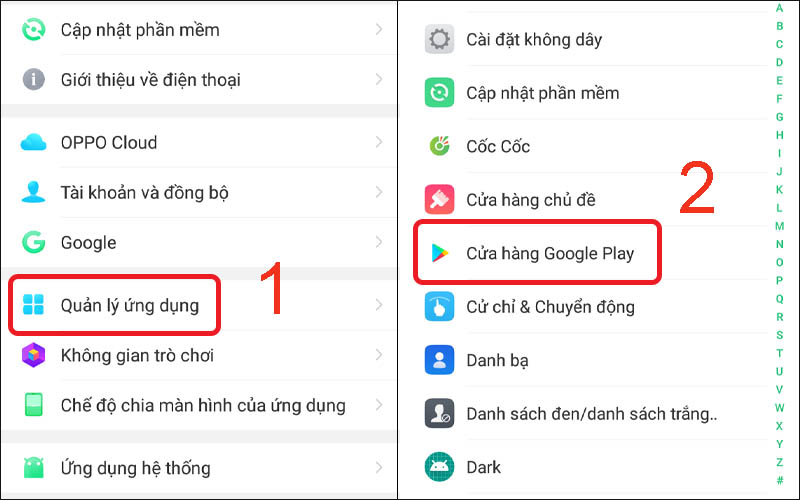 Nhấn vào Quản lý ứng dụng rồi nhấn vào Cửa hàng Google Play