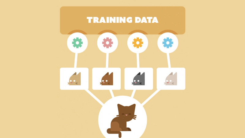 Dữ liệu huấn luyện