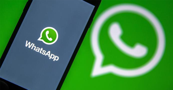 Cách khôi phục tin nhắn WhatsApp trên điện thoại Android, iPhone