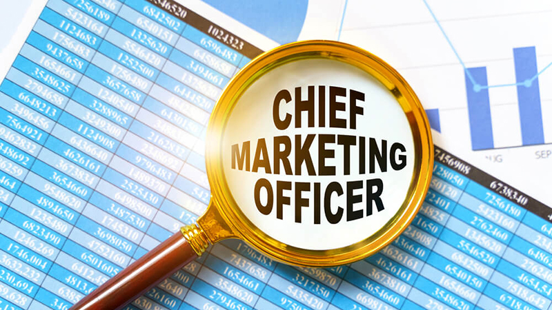 The CMO is responsible for product development and customer acquisition through various marketing channels