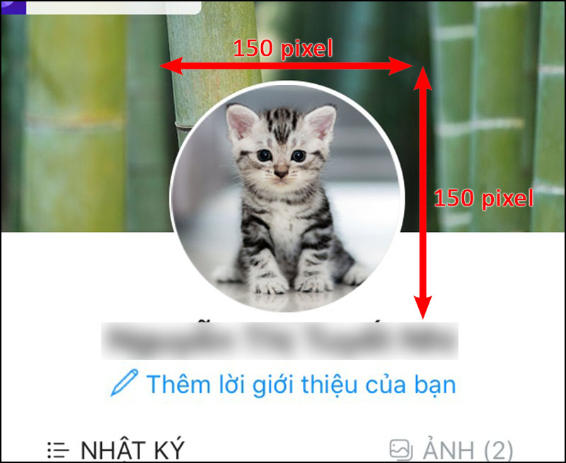 Với các thông số kích thước khác nhau cho ảnh bìa, avatar và banner trên Zalo, bạn cần phải cập nhật đầy đủ để tránh bị cắt váp hoặc biến dạng trên màn hình người khác. Thông tin về kích thước này có thể không đầy đủ và khó tìm kiếm? Hãy tới hình ảnh liên quan để tìm hiểu thêm về những thông số kích thước đó nhé!