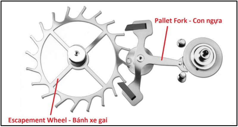 bộ thoát đồng hồ