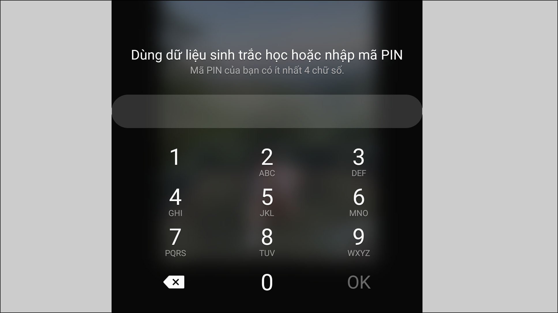 Xác nhận dấu vân tay hoặc phương thức bảo mật khác nếu được yêu cầu (mật khẩu số, mã pin).