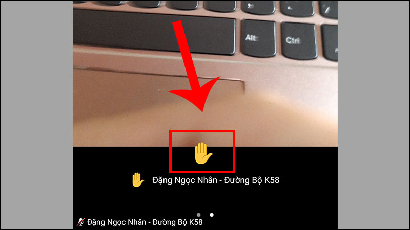 Hướng dẫn cách sử dụng tính năng giơ tay trên Zoom bằng điện thoại