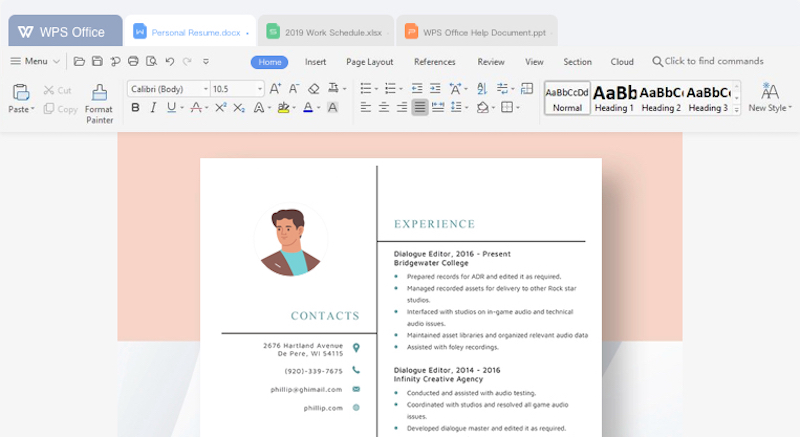 wps office professional