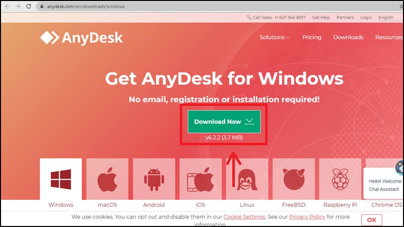download AnyDesk > Nhấn vào Download Now.