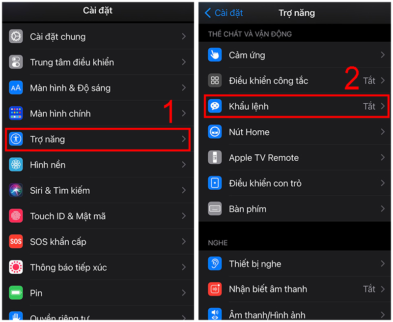 Truy cập Khẩu lệnh trong Trợ năng
